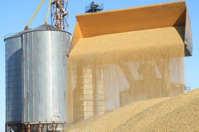 截止9月17日,玉米价格“解封”,大豆有望上涨,背后推手是谁