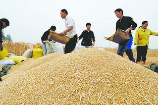 国家粮食局大数据 中国国家粮食局